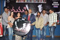 Madhumati Movie Audio Release
